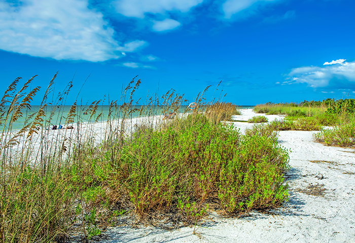 Marco Island Beach Photo